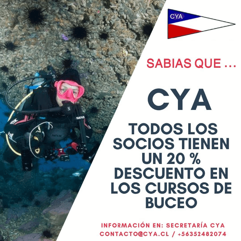 Curos Buceo